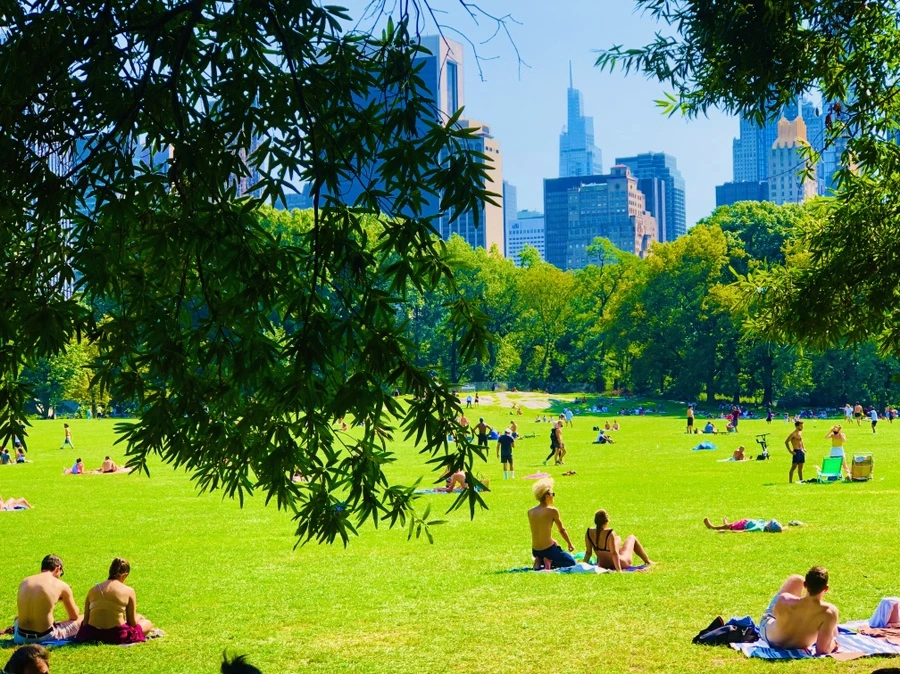 IMG_9390.jpg?type=w966