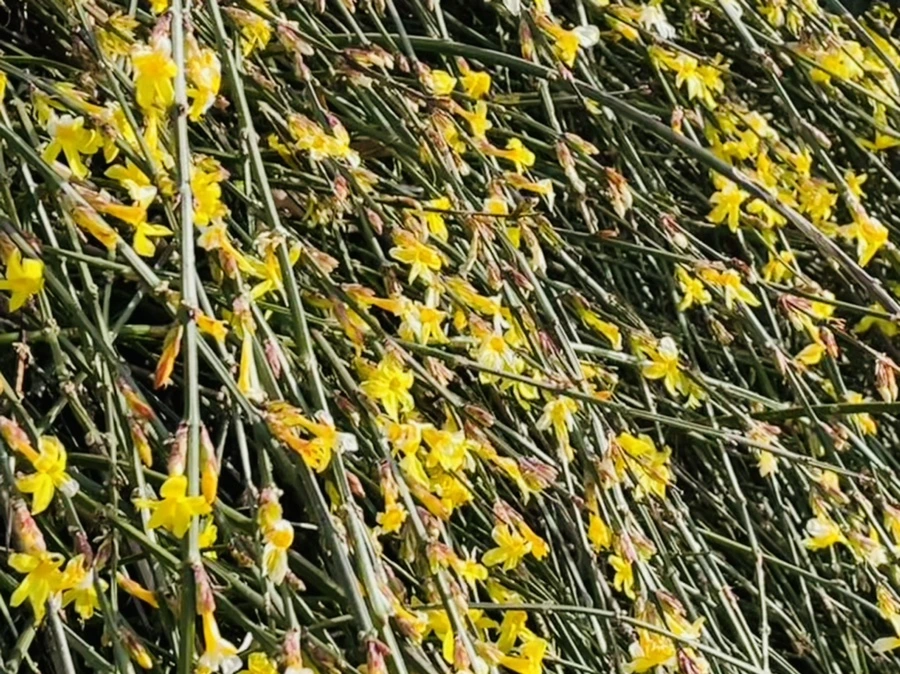 IMG_5391.jpg?type=w966