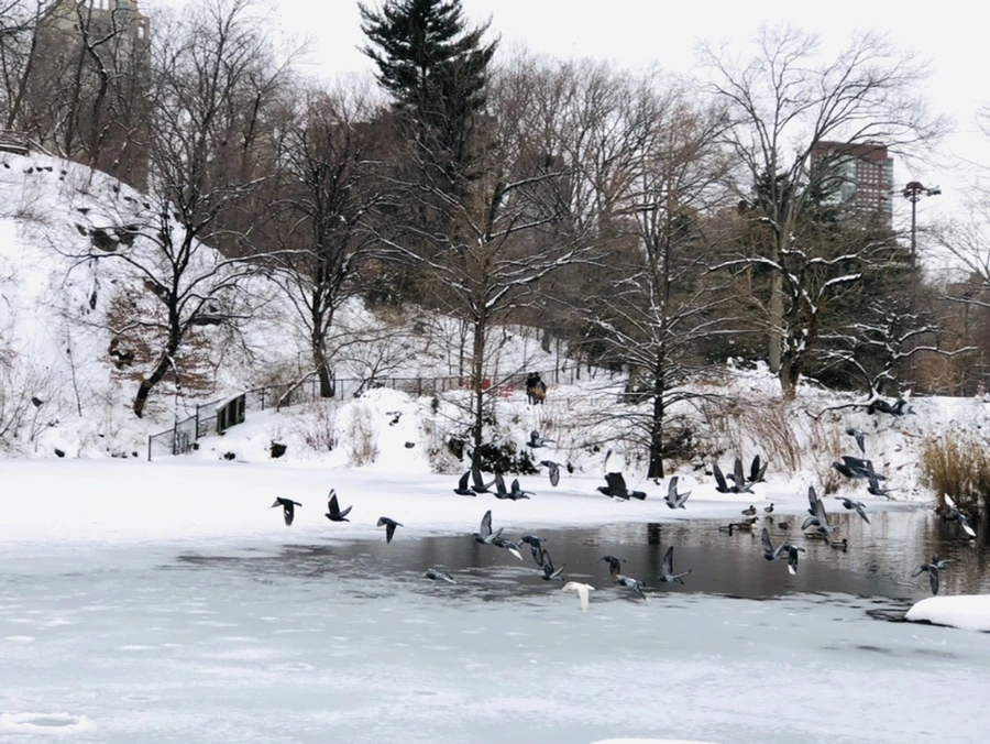 IMG_9162.jpg?type=w966