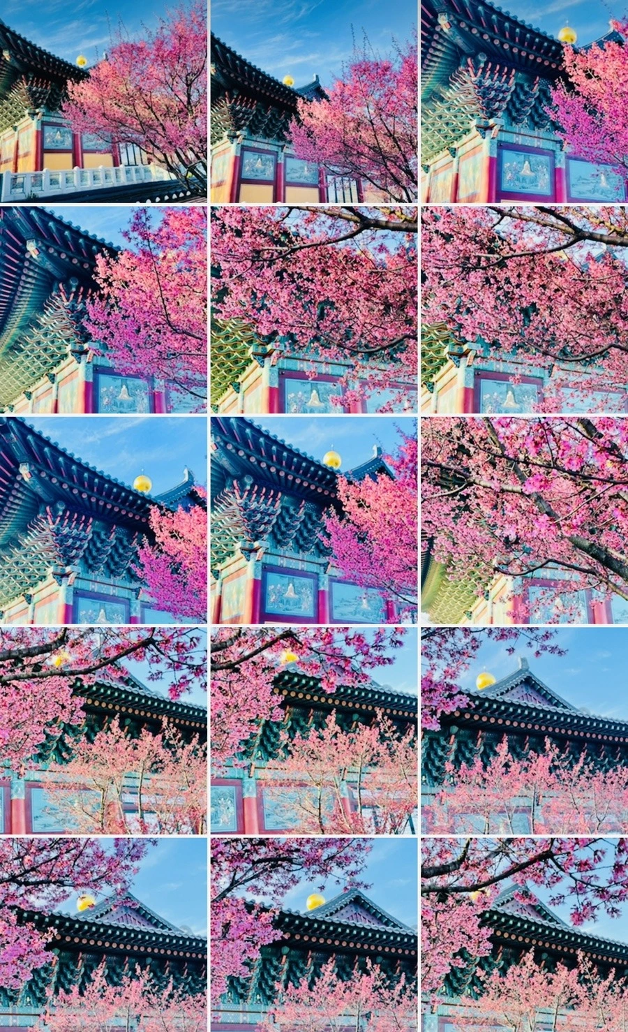 o1PqEipyQSIjkiryFIMjyp9Tj8Y