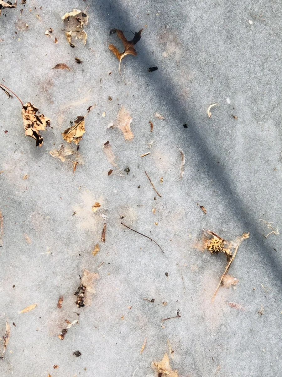 IMG_7672.jpg?type=w966