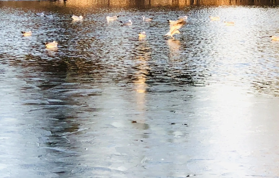 IMG_0777.jpg?type=w966