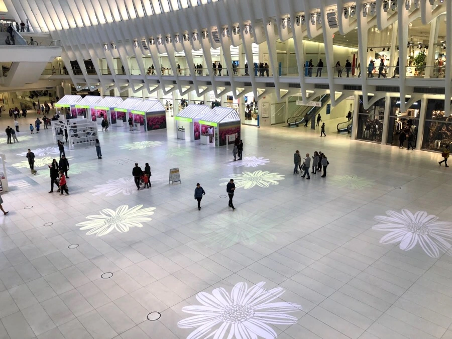 IMG_6084.jpg?type=w966