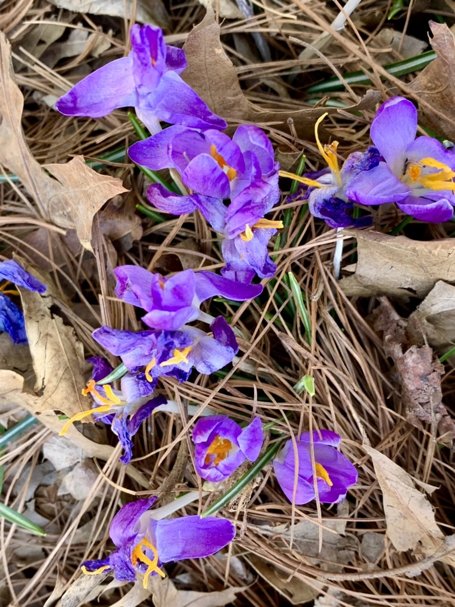 IMG_1432.jpg?type=w966