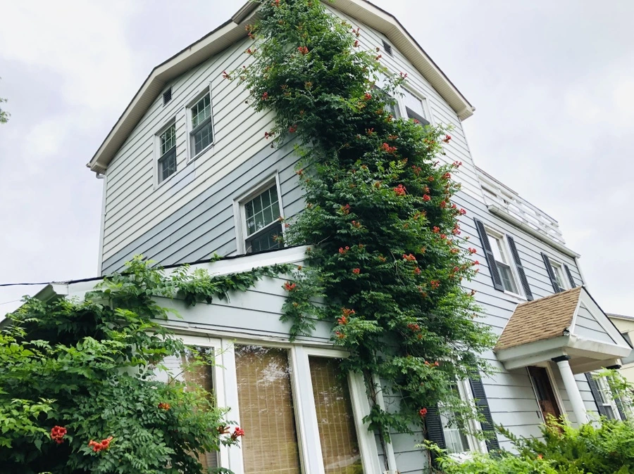 IMG_2045.jpg?type=w966