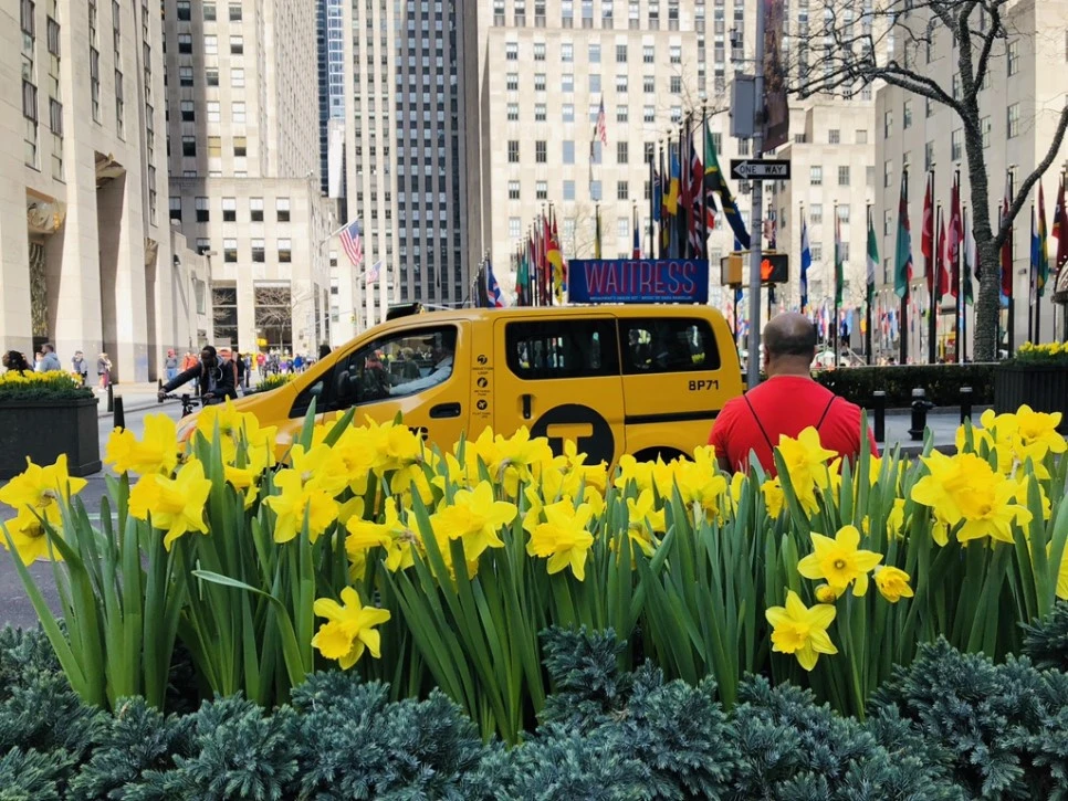 IMG_2538.jpg?type=w966