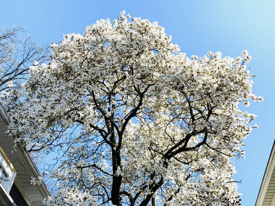 IMG_7658.jpg?type=w966