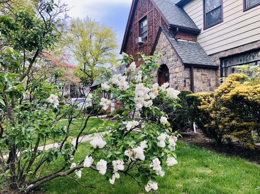 IMG_7249.jpg?type=w966