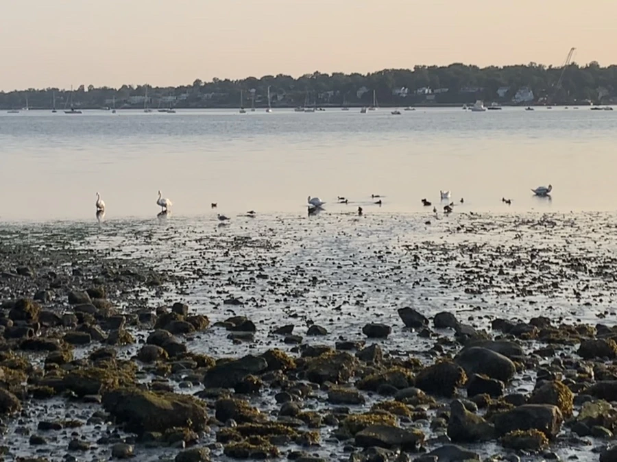 IMG_9783.jpg?type=w966