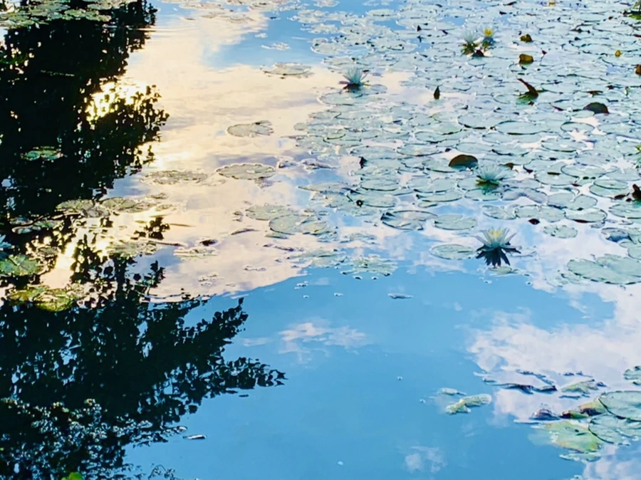 IMG_5868.jpg?type=w966