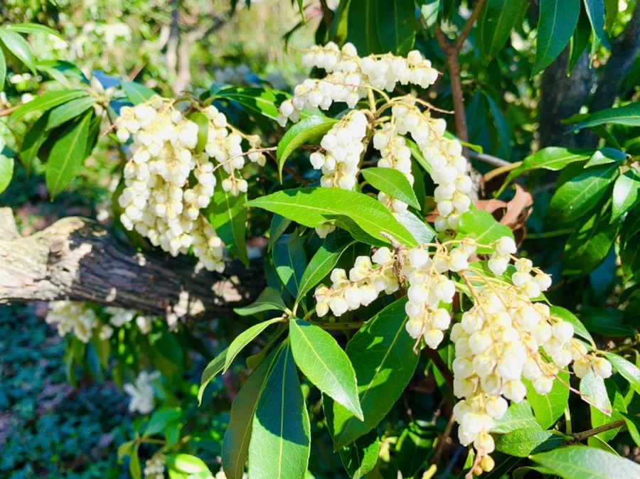 IMG_5655.jpg?type=w966