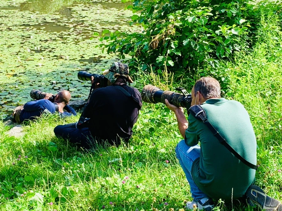 IMG_0848.jpg?type=w966