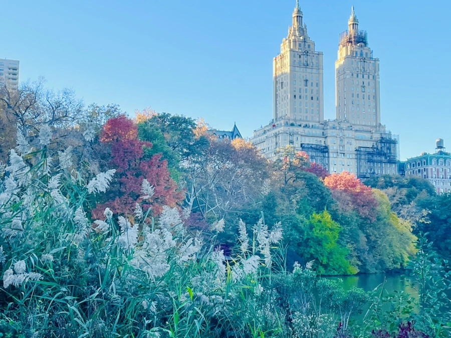 IMG_1405.jpg?type=w966