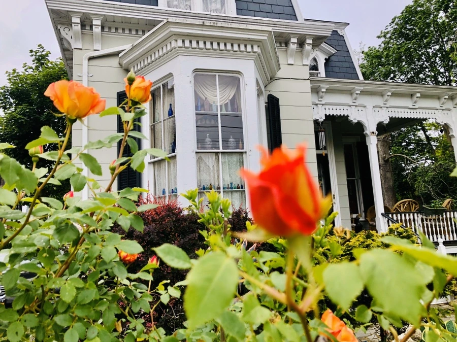 IMG_7372.jpg?type=w966