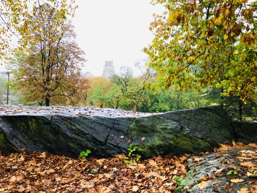 IMG_3119.jpg?type=w966