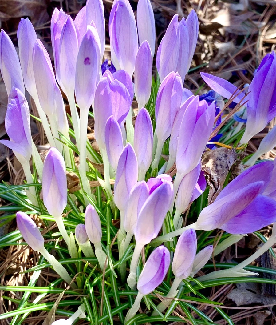 IMG_1433.jpg?type=w966