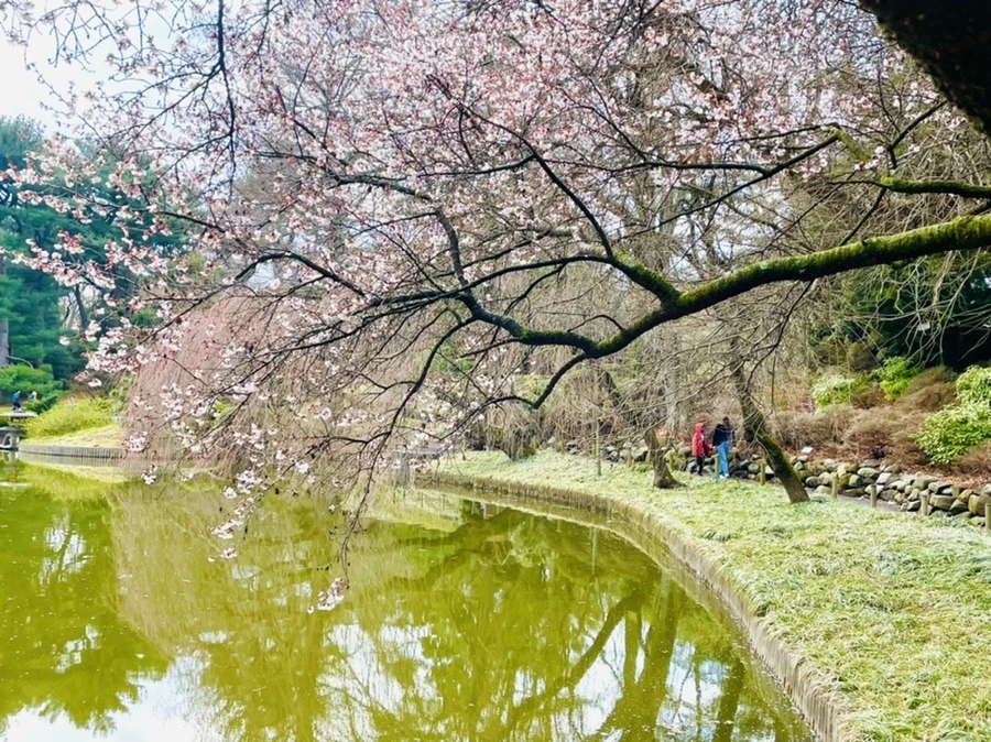 1q0Ut-vga2XXuHBnJem92-q-ojM