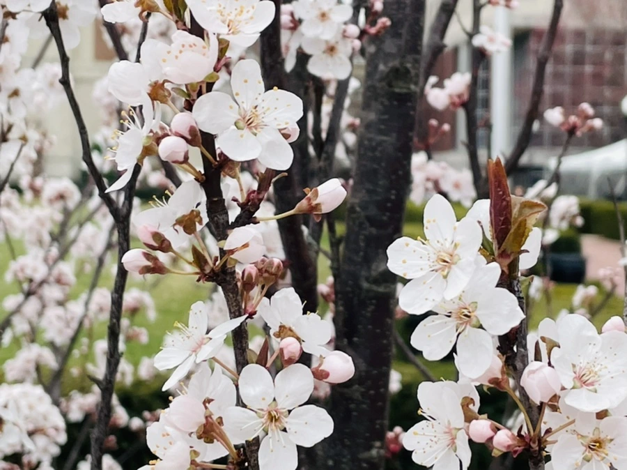 IMG_6827.jpg?type=w966