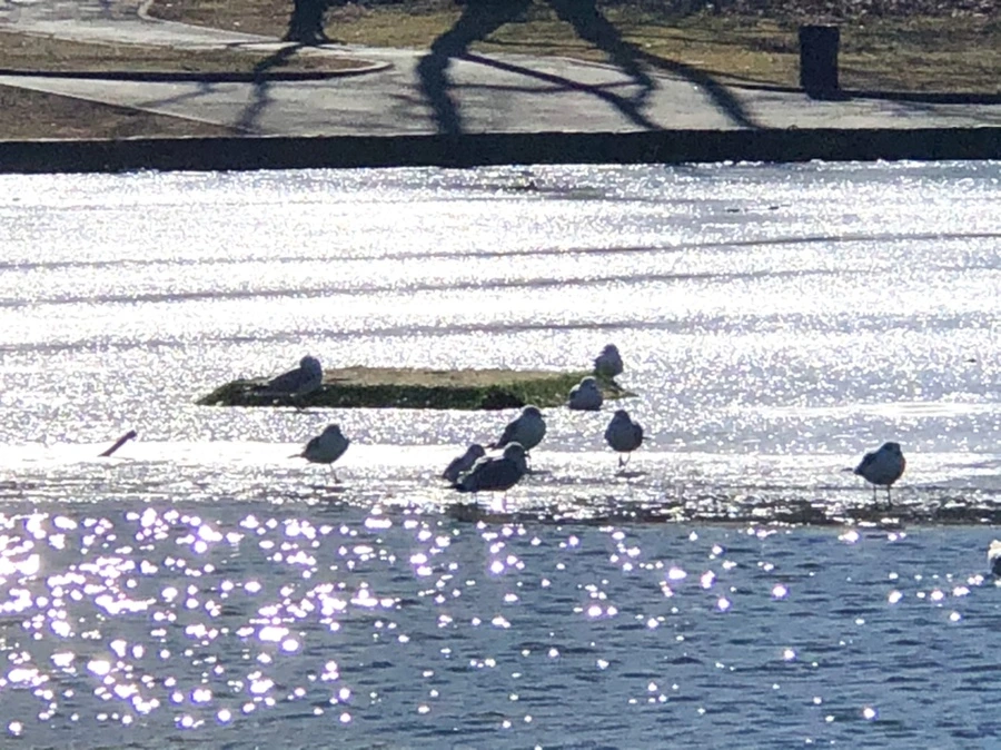 IMG_6706.jpg?type=w966