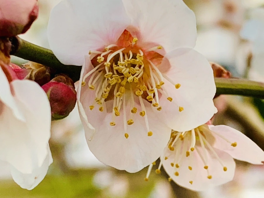 IMG_2813.jpg?type=w966