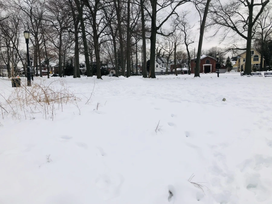 IMG_2600.jpg?type=w966