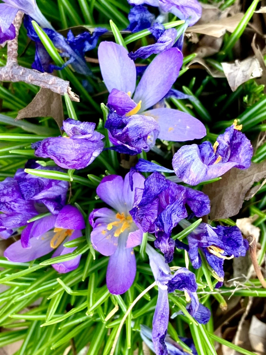 IMG_3163.jpg?type=w966