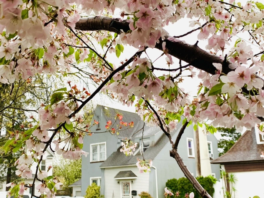 IMG_2275.jpg?type=w966