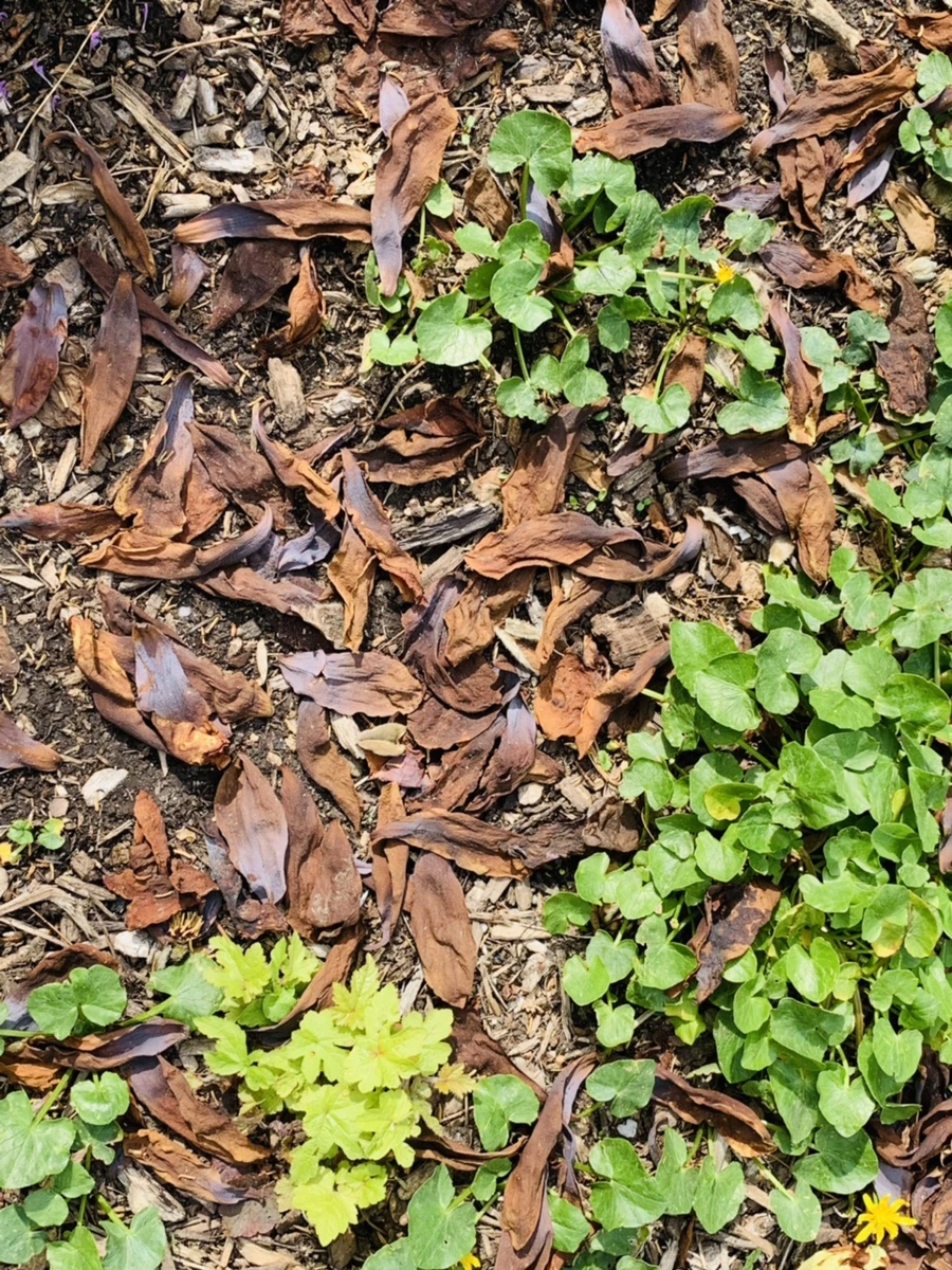 IMG_7008.jpg?type=w966