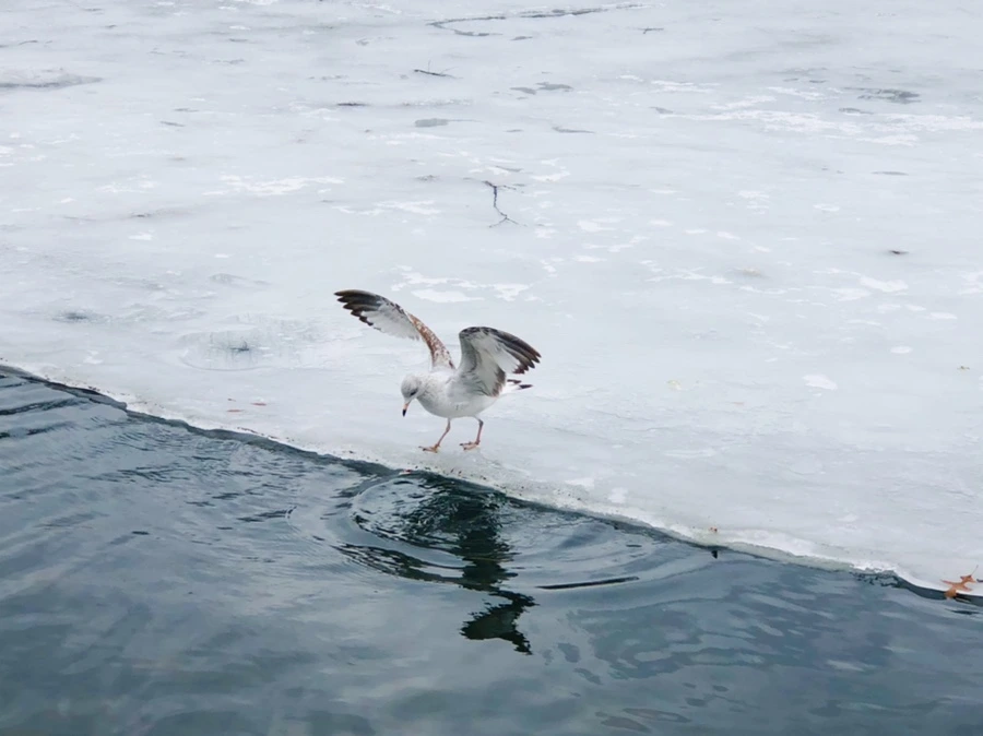 IMG_6263.jpg?type=w966