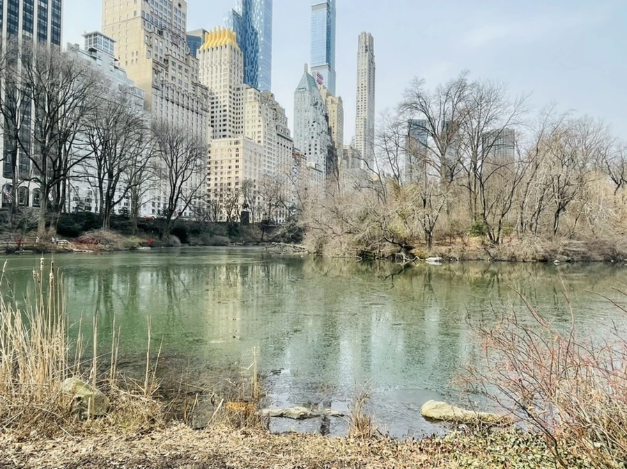 IMG_3898.jpg?type=w966