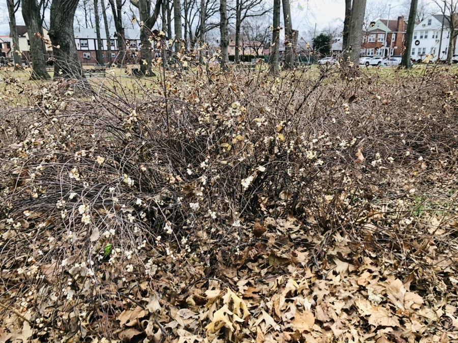 IMG_0073.jpg?type=w966