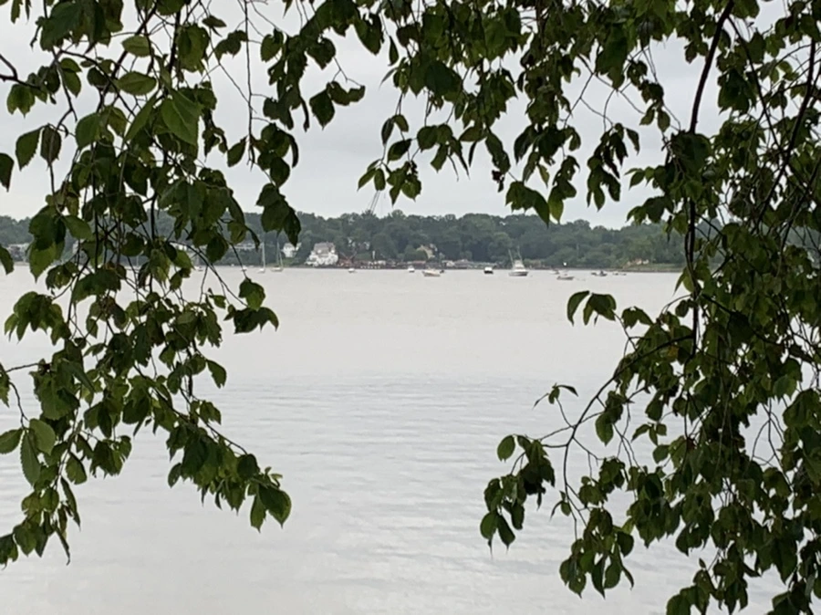 IMG_7135.jpg?type=w966