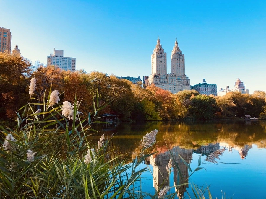 wxhRdxlsx0WIpNPcbVmfvQPTuo0