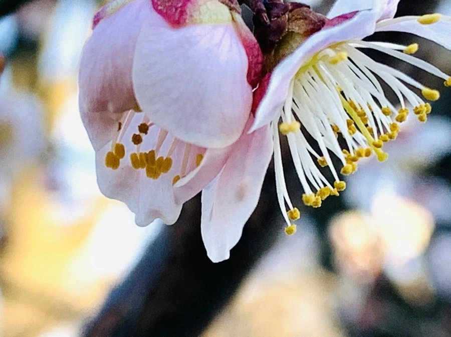 IMG_0807.jpg?type=w966