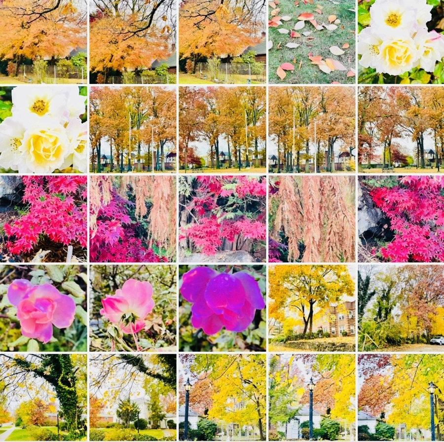 IMG_4959.jpg?type=w966