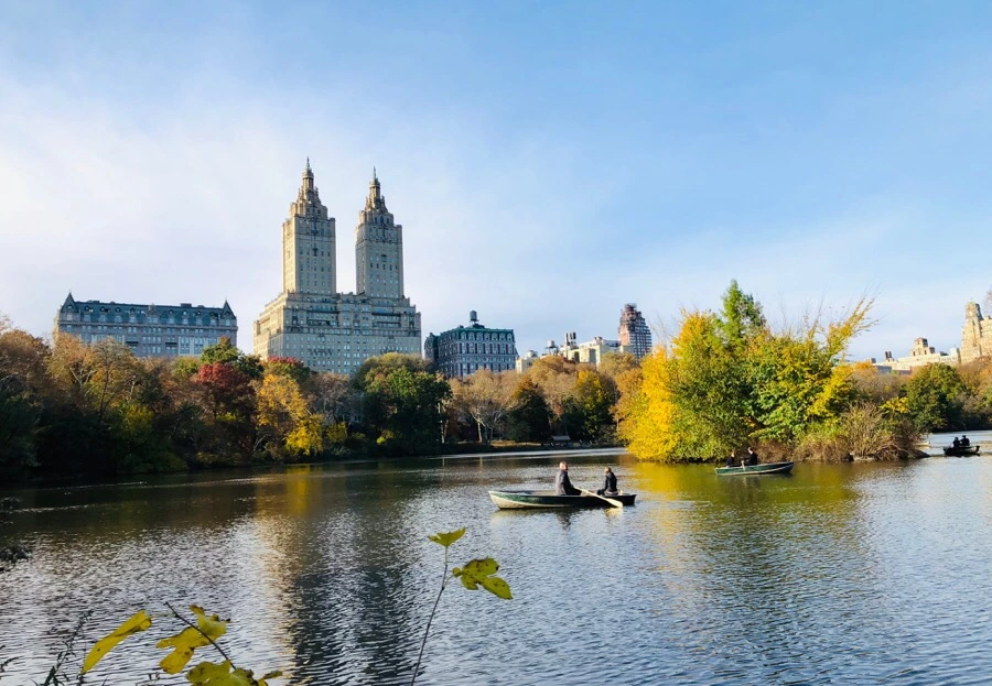 IMG_7527.jpg?type=w966