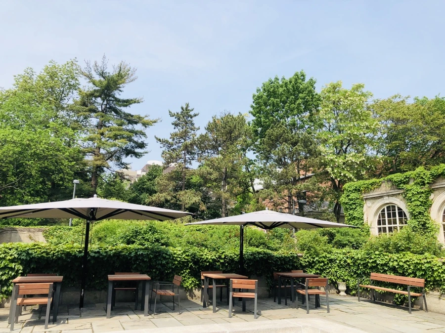 IMG_5445.jpg?type=w966