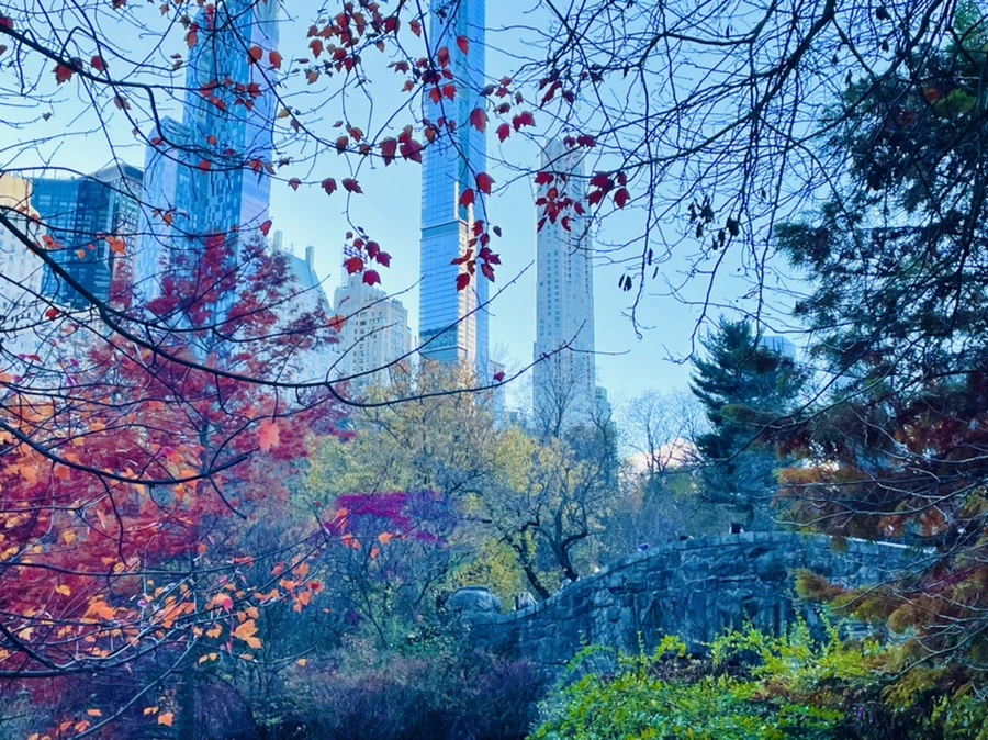 IMG_5027.jpg?type=w966