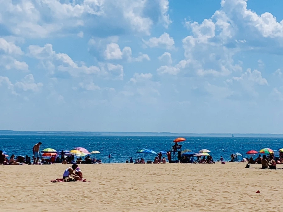 IMG_8842.jpg?type=w966