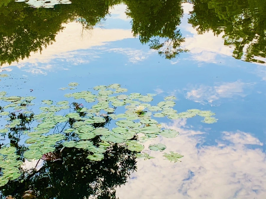 IMG_1542.jpg?type=w966