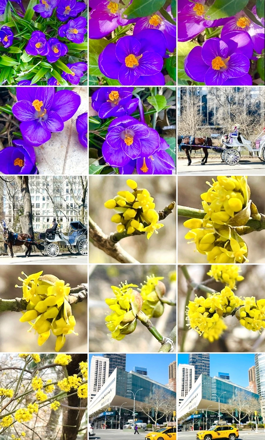 IMG_5646.jpg?type=w966