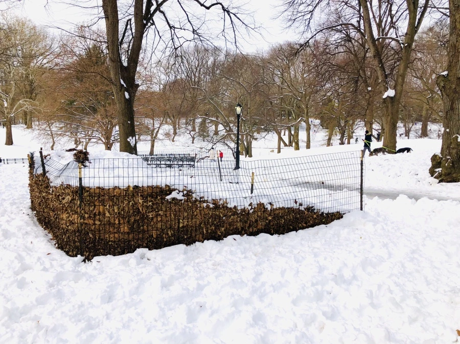 IMG_7265.jpg?type=w966