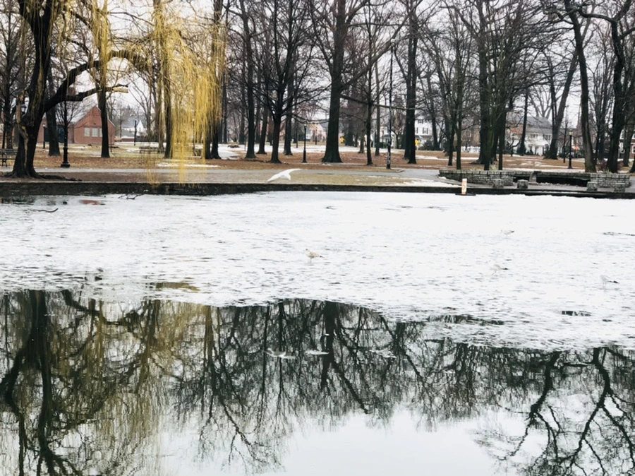 IMG_5553.jpg?type=w966