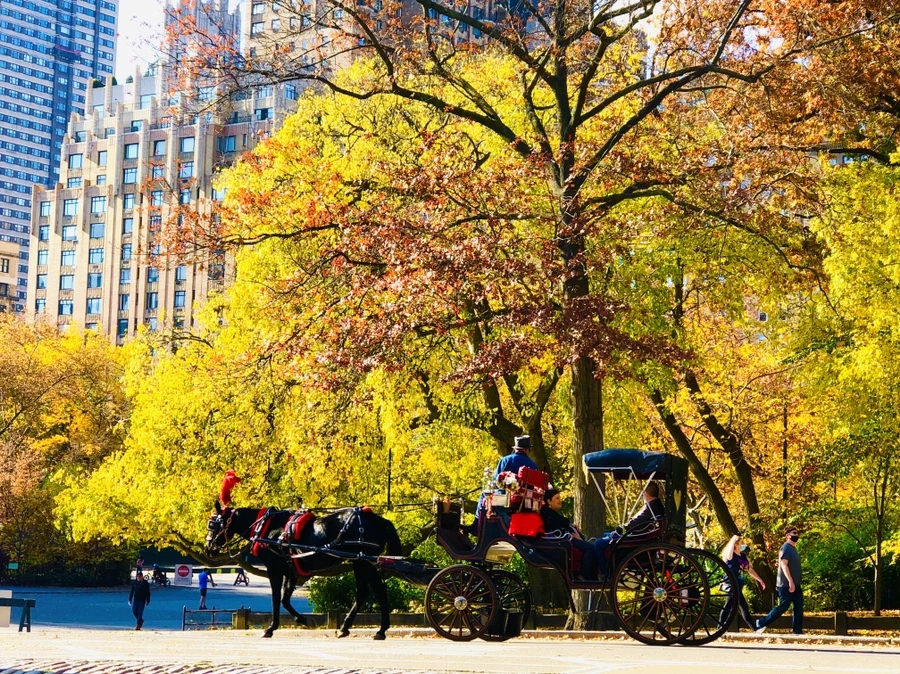 IMG_4349.jpg?type=w966