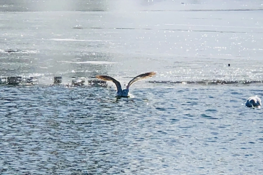 IMG_6712.jpg?type=w966