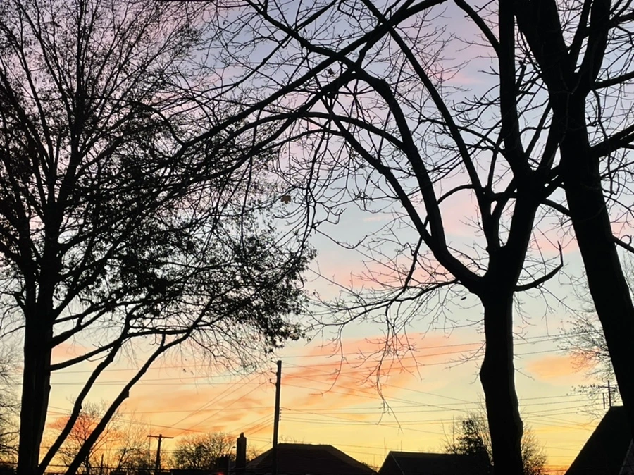 IMG_6865.jpg?type=w966