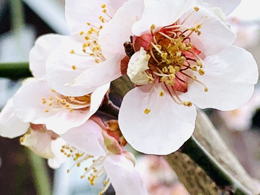 IMG_3661.jpg?type=w966