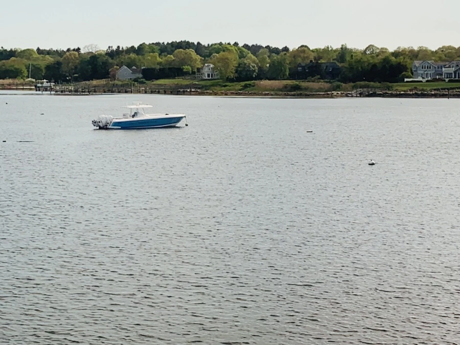 IMG_3184.jpg?type=w966