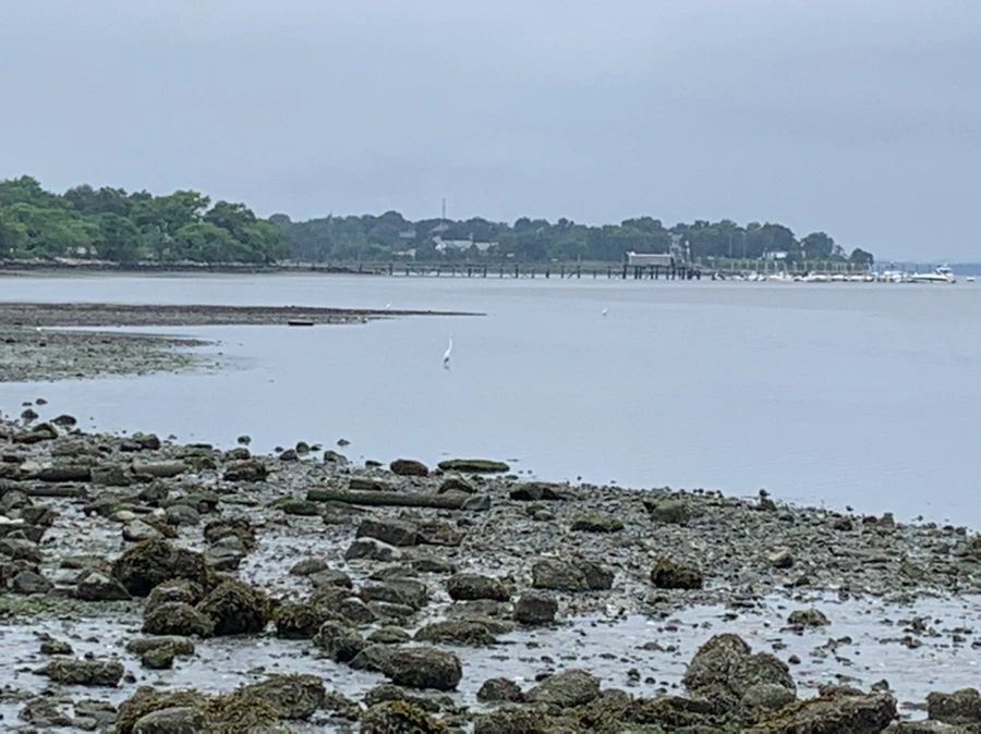 IMG_3731.jpg?type=w966