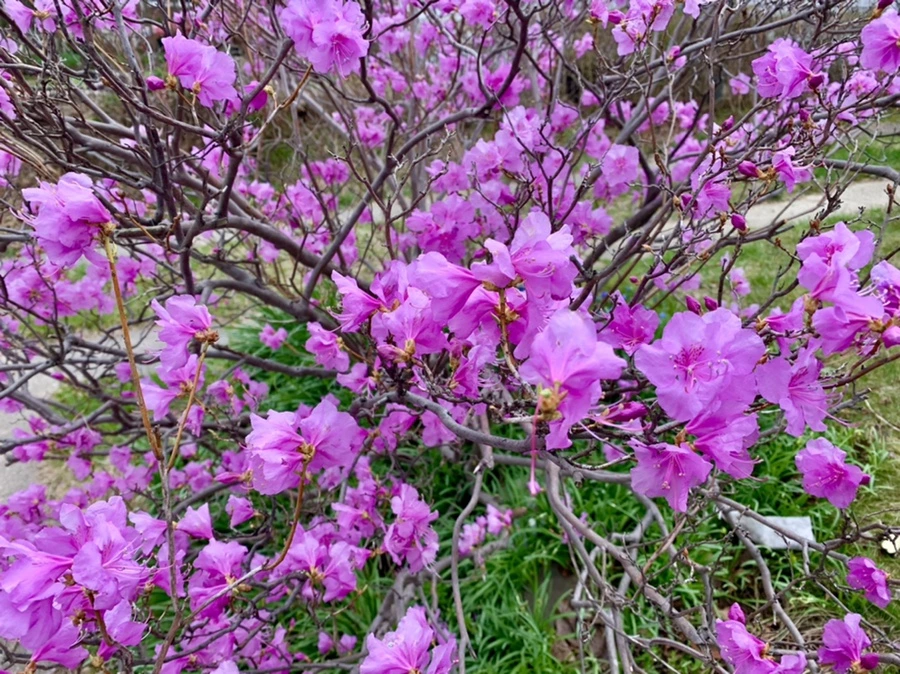 IMG_6746.jpg?type=w966